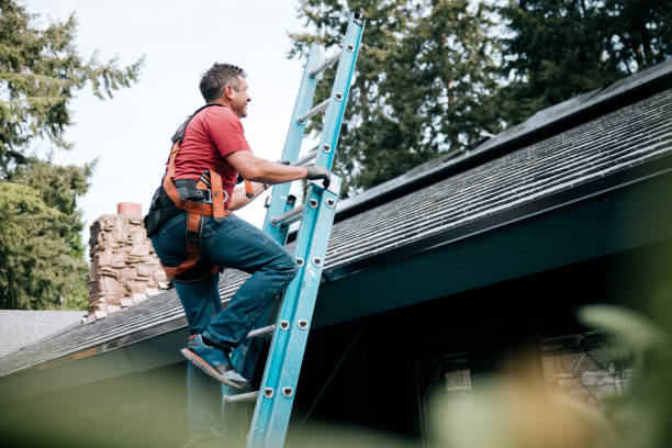 Best Skylight Installation and Repair  in Cementon, PA